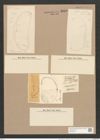 Amphora grevilleana var. campechiana Grun. (de-Toni-Nr.: Genus 36, Species 1593) Zeichnungen Sammlung Grunow Nr. 3050 (NHMW-BOT-W0370447)